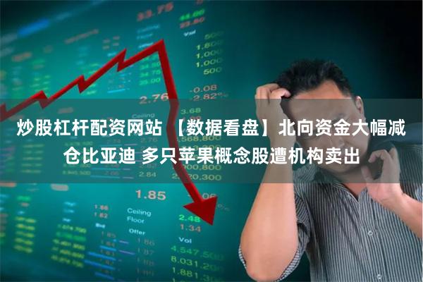 炒股杠杆配资网站 【数据看盘】北向资金大幅减仓比亚迪 多只苹果概念股遭机构卖出