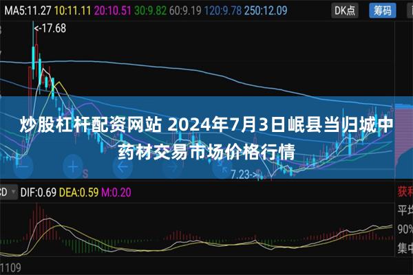   炒股杠杆配资网站 2024年7月3日岷县当归城中药材交易市场价格行情