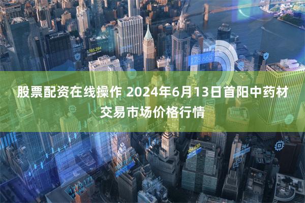 股票配资在线操作 2024年6月13日首阳中药材交易市场价格行情