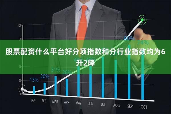 股票配资什么平台好分项指数和分行业指数均为6升2降